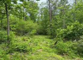 389.2 Acres Woodmont Rd, Great Cacapon, WV 25422