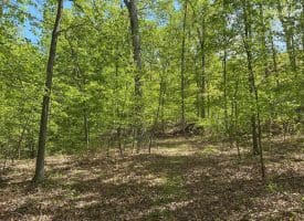 13.06 Ac Pine Trail Dr, Moorefield, WV 26836