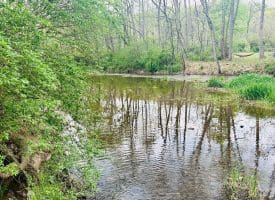 11485 Delray Rd, Rio, WV 26755