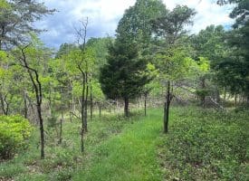 Lot 154 Rm Washington Dr, Springfield, WV 26763