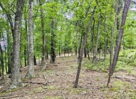 Lot 1 Island Ridge Rd, Purgitsville, WV 26852