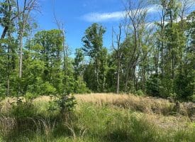 389.2 Acres Woodmont Rd, Great Cacapon, WV 25422