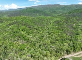 13.06 Ac Pine Trail Dr, Moorefield, WV 26836