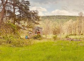 11485 Delray Rd, Rio, WV 26755