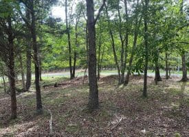 Lot 154 Rm Washington Dr, Springfield, WV 26763
