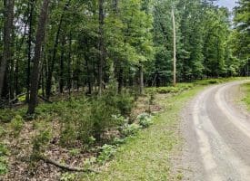 Lot 1 Island Ridge Rd, Purgitsville, WV 26852