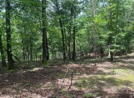 2.23 Ac Doe Trl, Springfield, WV 26763