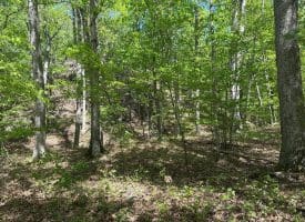13.06 Ac Pine Trail Dr, Moorefield, WV 26836