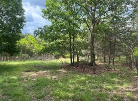 Lot 154 Rm Washington Dr, Springfield, WV 26763
