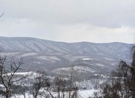 Lot 1 Island Ridge Rd, Purgitsville, WV 26852