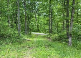 389.2 Acres Woodmont Rd, Great Cacapon, WV 25422