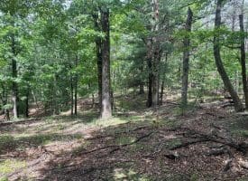 2.23 Ac Doe Trl, Springfield, WV 26763