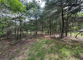 Lot 154 Rm Washington Dr, Springfield, WV 26763