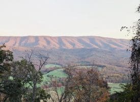 Lot 1 Island Ridge Rd, Purgitsville, WV 26852