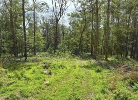 389.2 Acres Woodmont Rd, Great Cacapon, WV 25422