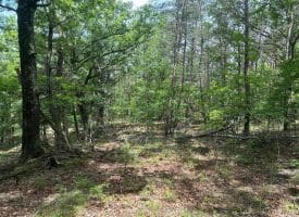 2.23 Ac Doe Trl, Springfield, WV 26763