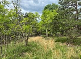 Lot 154 Rm Washington Dr, Springfield, WV 26763