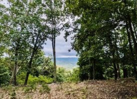 Lot 1 Island Ridge Rd, Purgitsville, WV 26852