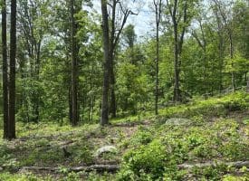 389.2 Acres Woodmont Rd, Great Cacapon, WV 25422