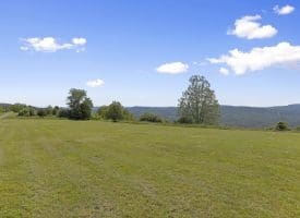 150 N APPLE RIDGE ROAD, ROMNEY, WV 26757