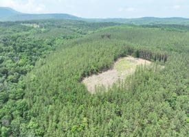 20.17 AC North Texas Road, Delray, WV 26714