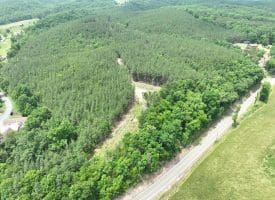 22.29 AC North Texas Road, Delray, WV 26714