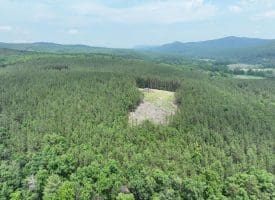 20.17 AC North Texas Road, Delray, WV 26714
