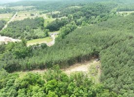 22.29 AC North Texas Road, Delray, WV 26714