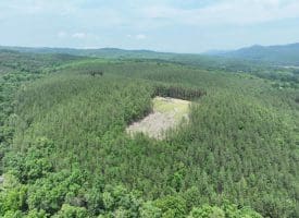 20.17 AC North Texas Road, Delray, WV 26714