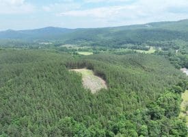 20.17 AC North Texas Road, Delray, WV 26714
