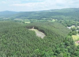 20.17 AC North Texas Road, Delray, WV 26714