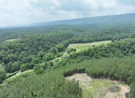 20.17 AC North Texas Road, Delray, WV 26714