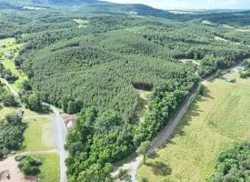22.29 AC North Texas Road, Delray, WV 26714