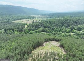 20.17 AC North Texas Road, Delray, WV 26714