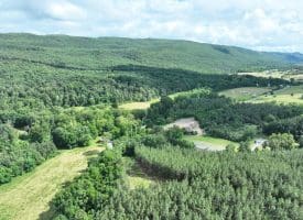 22.29 AC North Texas Road, Delray, WV 26714