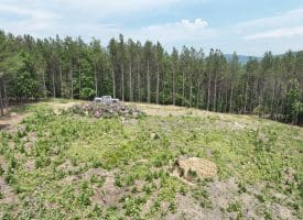 20.17 AC North Texas Road, Delray, WV 26714