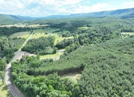 22.29 AC North Texas Road, Delray, WV 26714