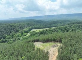 20.17 AC North Texas Road, Delray, WV 26714