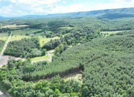 22.29 AC North Texas Road, Delray, WV 26714
