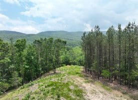 22.29 AC North Texas Road, Delray, WV 26714