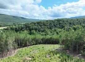 20.17 AC North Texas Road, Delray, WV 26714
