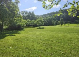 LOT 47 Riverview Turn Rd, Delray, WV 26714