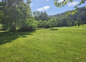 LOT 47 Riverview Turn Rd, Delray, WV 26714