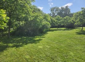 LOT 47 Riverview Turn Rd, Delray, WV 26714
