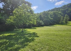 LOT 47 Riverview Turn Rd, Delray, WV 26714
