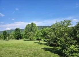 LOT 47 Riverview Turn Rd, Delray, WV 26714