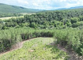 20.17 AC North Texas Road, Delray, WV 26714