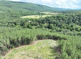 20.17 AC North Texas Road, Delray, WV 26714