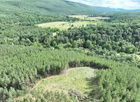 20.17 AC North Texas Road, Delray, WV 26714