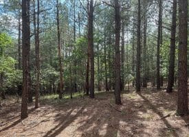 22.29 AC North Texas Road, Delray, WV 26714